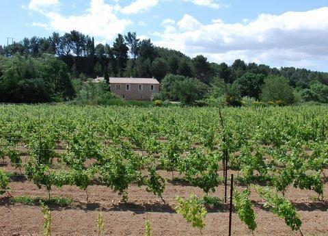 Domaine De "Creva-Tinas" Bed & Breakfast Mailhac Екстериор снимка