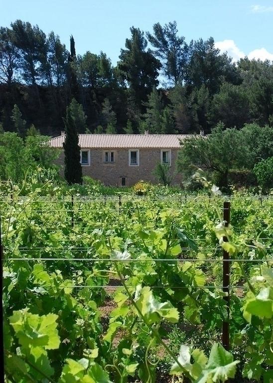 Domaine De "Creva-Tinas" Bed & Breakfast Mailhac Екстериор снимка