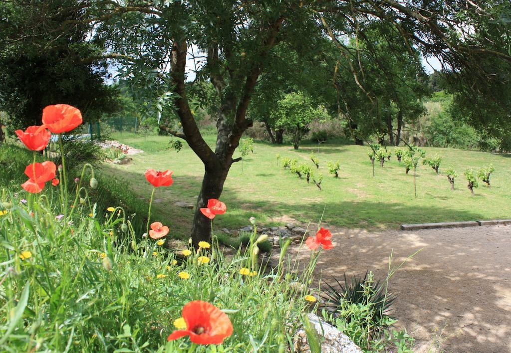 Domaine De "Creva-Tinas" Bed & Breakfast Mailhac Екстериор снимка